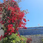 Chaniotis