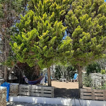Chaniotis