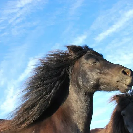 Appartement Chaniotis