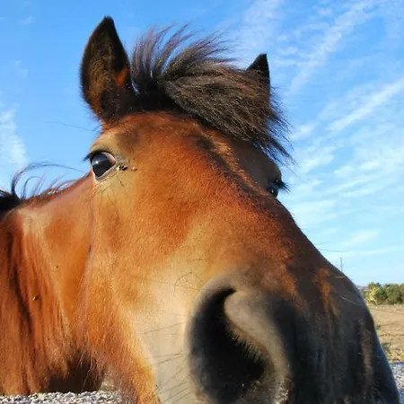 Appartamento Chaniotis Kalafatis