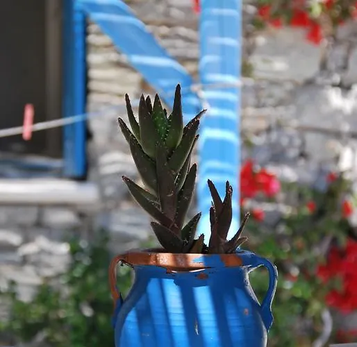 Appartement Chaniotis Kalafatis