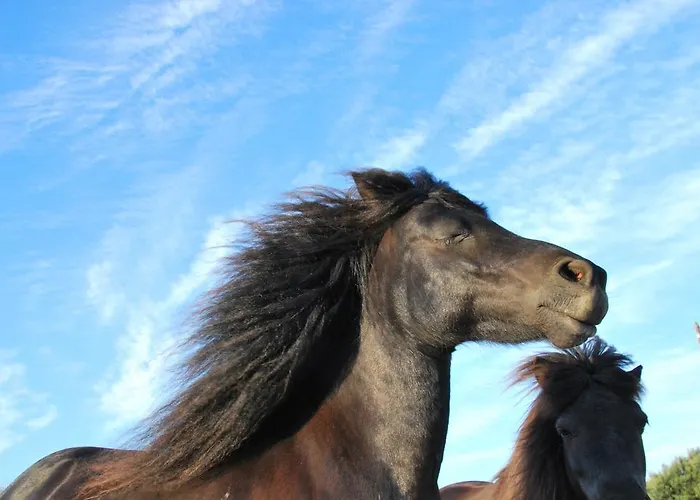 Appartement Chaniotis