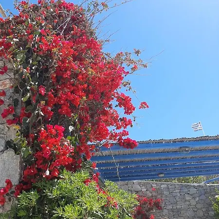 Chaniotis